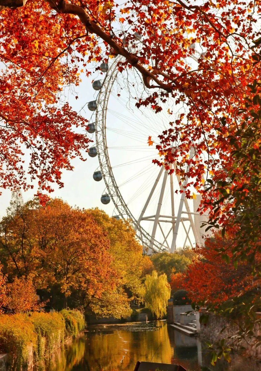 نعيم tweet media