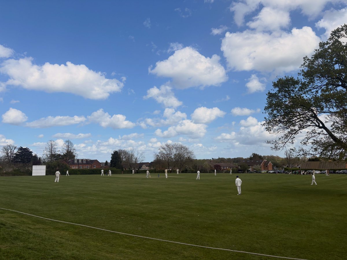 Theydon Bois Cricket Club tweet media