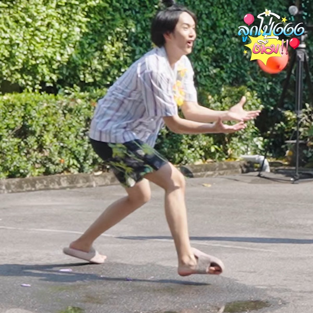 ミมะเพว🐈cms open tweet media