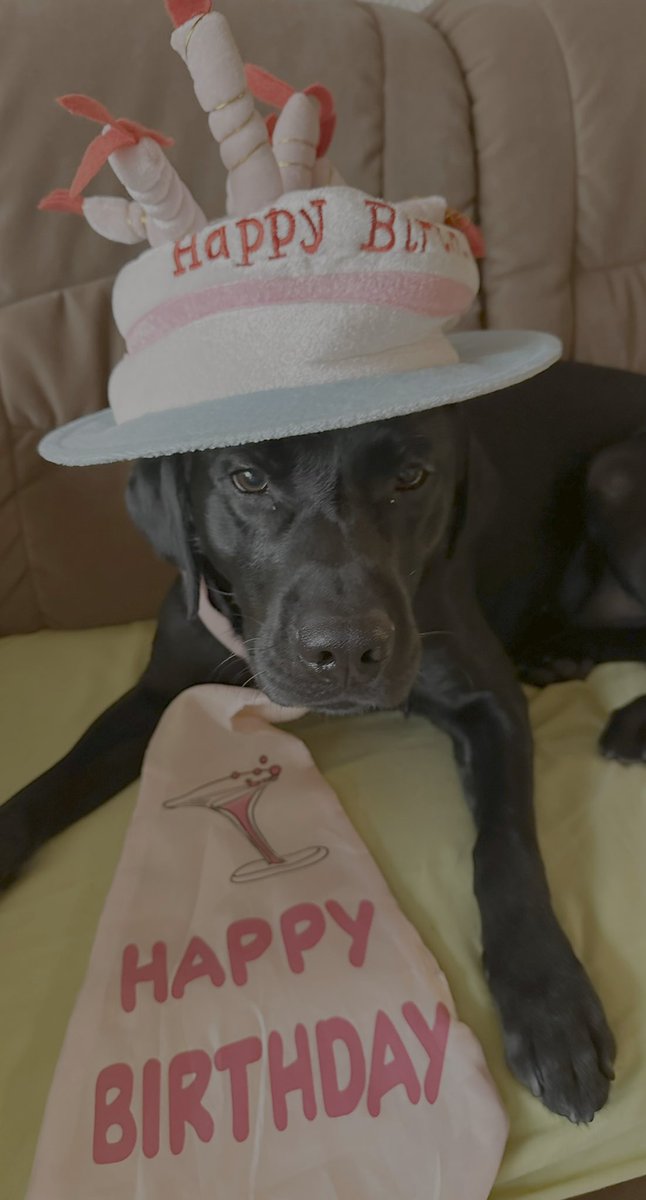 Tante Rirosa und Willi tweet media