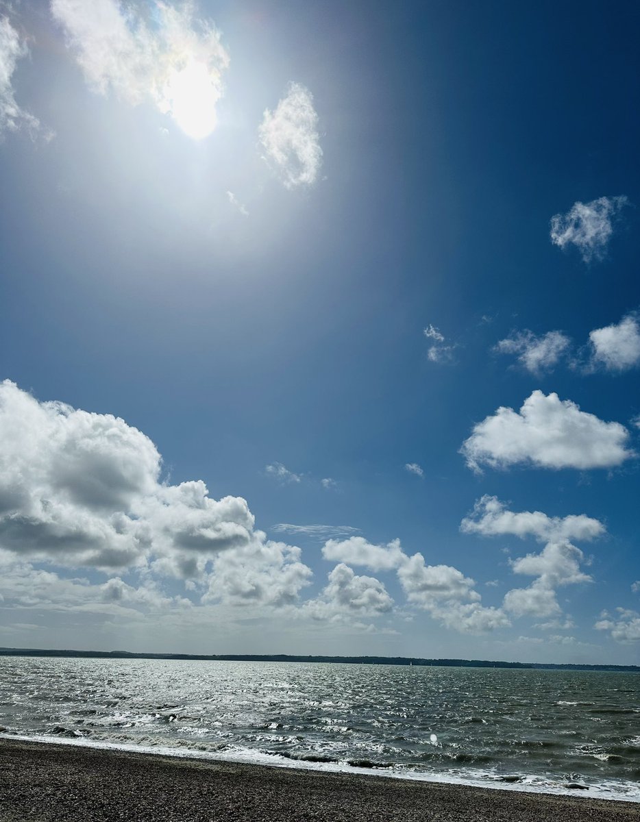 Meningioma Host tweet media