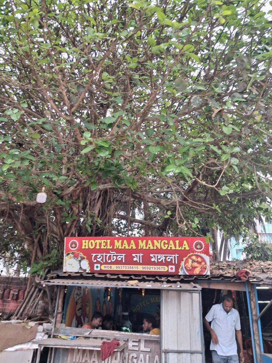 R K Mishra tweet media