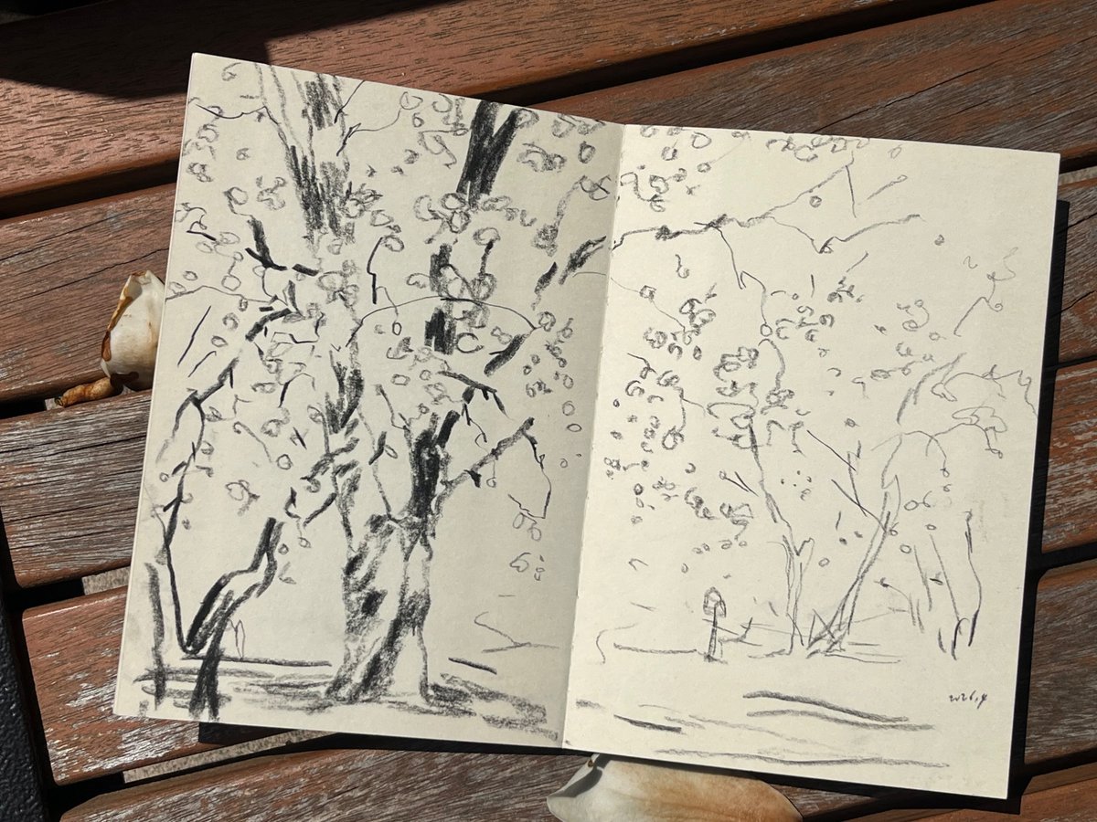 휘리 wheelee tweet media