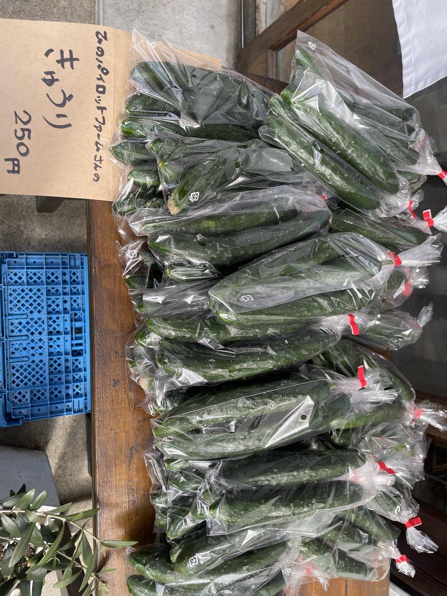 ひのパイロットファームさんのきゅうり🥒🥒来ました〜！！今年初かも！