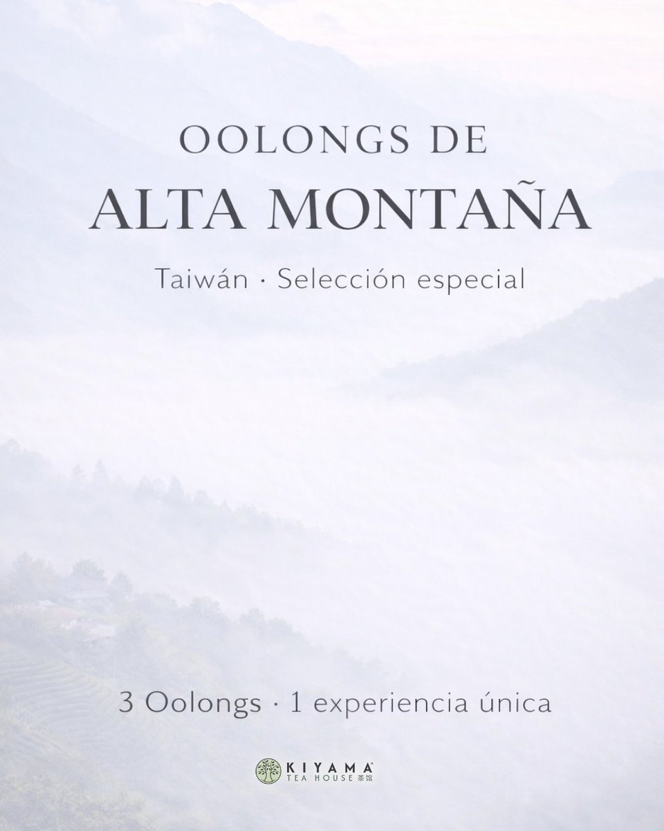 KiyamaTea's tweet photo. No todos los oolong saben igual.

🌿 La altitud cambia la hoja
🌫️ La niebla cambia el crecimiento
🍃 El origen cambia la taza

Si quieres ir un paso más allá:
👉 https://t.co/P7LdrRu1dD
🍵 O ven a probarlos al Tea House en Burgos

#teoolong #tepremium #kiyamatea https://t.co/RErhJT2knG