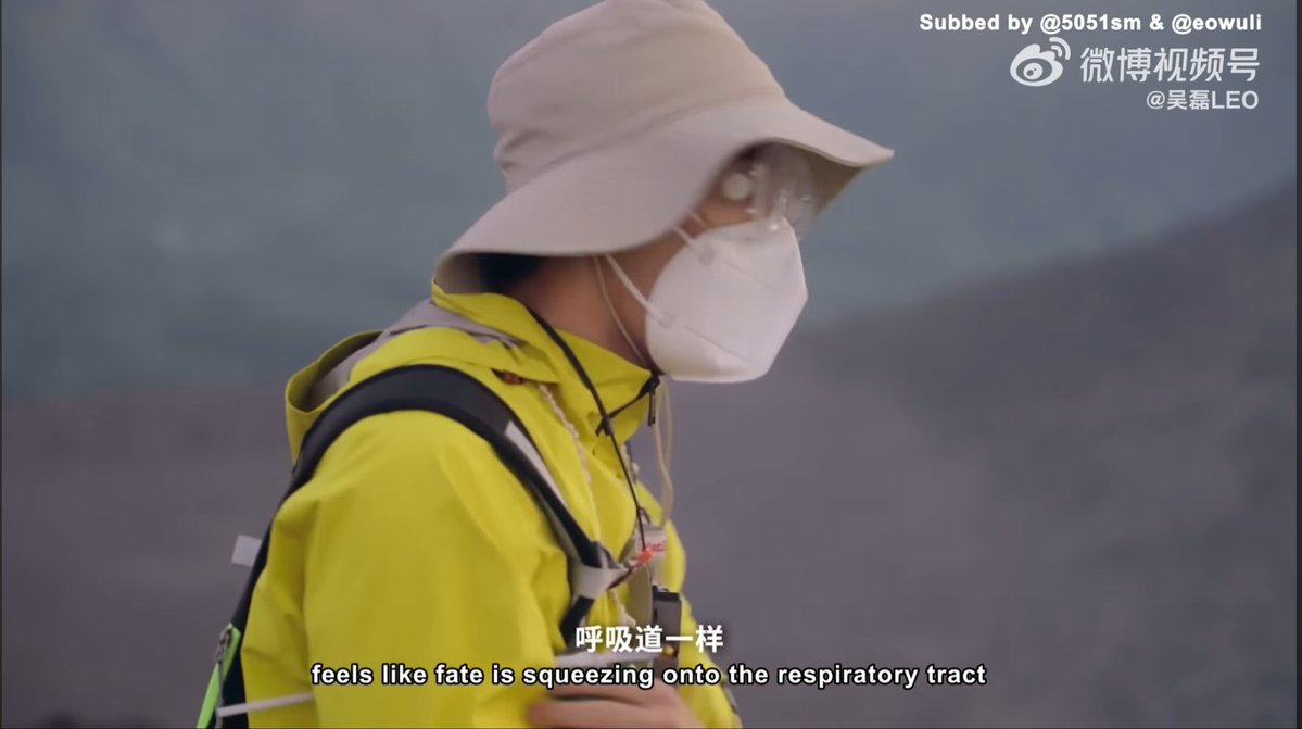 Bee 🐝 tweet media