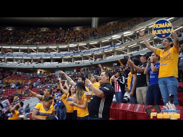 TestigoDeAngeli7oCorrea tweet media