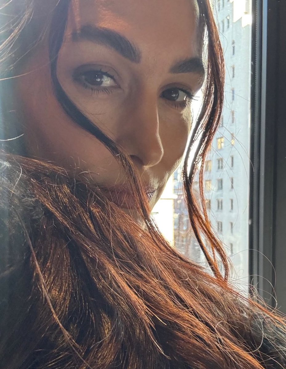 BRIIIE MODE ~ NOT @NikkiAndBrie tweet media