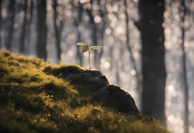 Michelle Klein tweet media