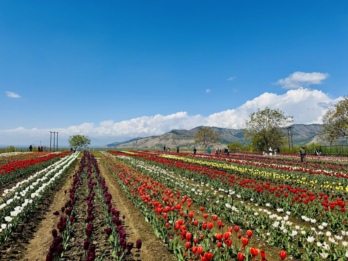 Sankirtan tweet media