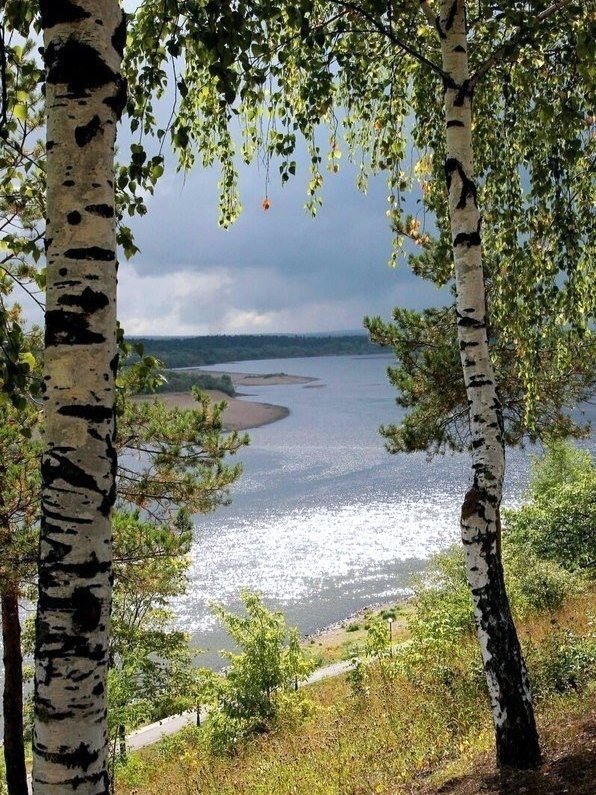 123 (@xetra_a) on Twitter photo 