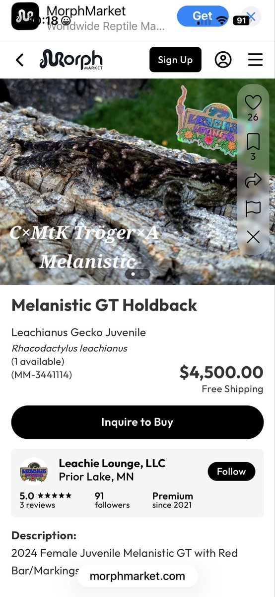 Meridith💚🤍💜 tweet media