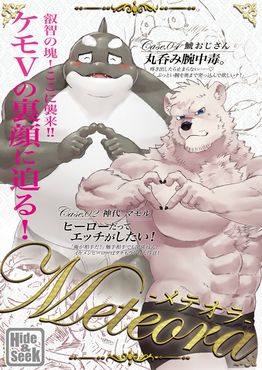 Hide&Seek 関西けもケット【K-65】 tweet media