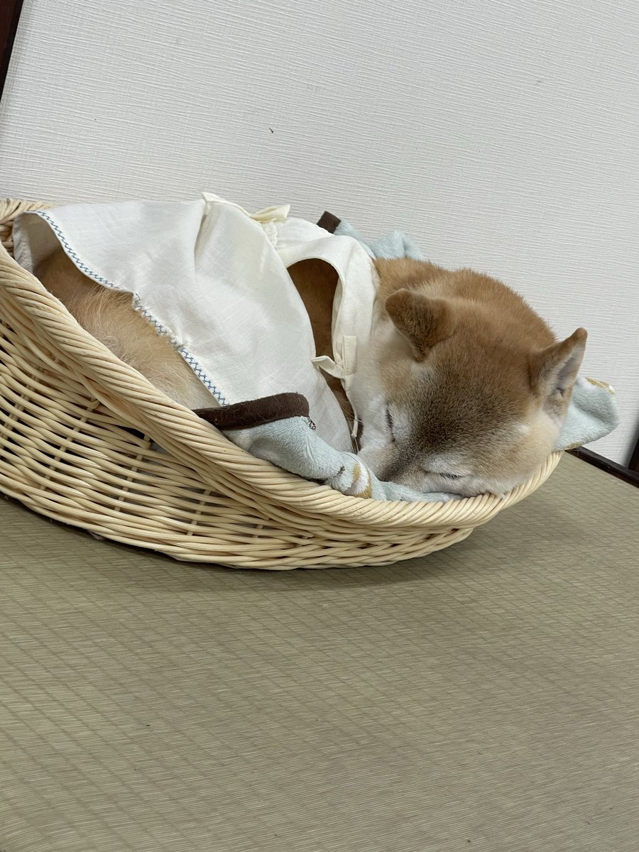 S1r1usVT_TTV tweet media