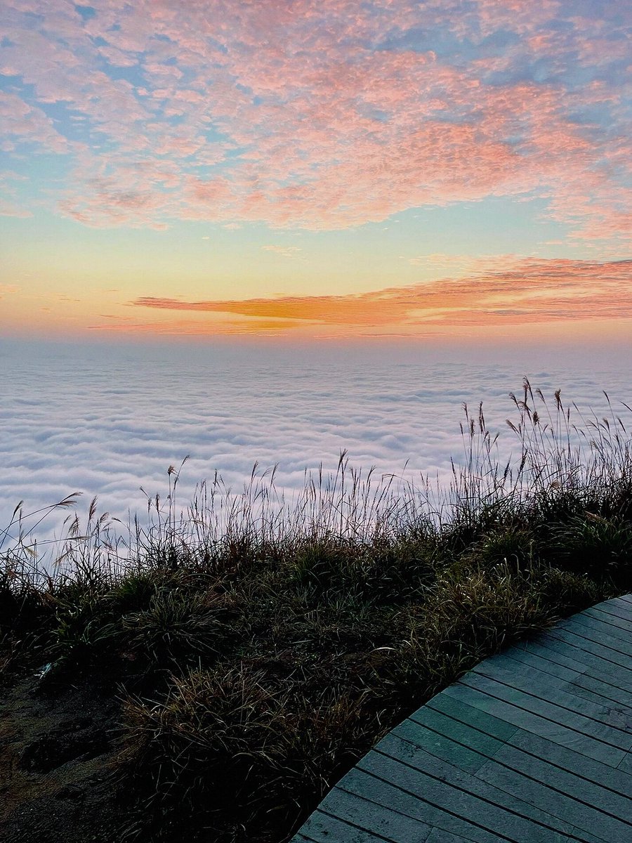 badal बिहारी tweet media