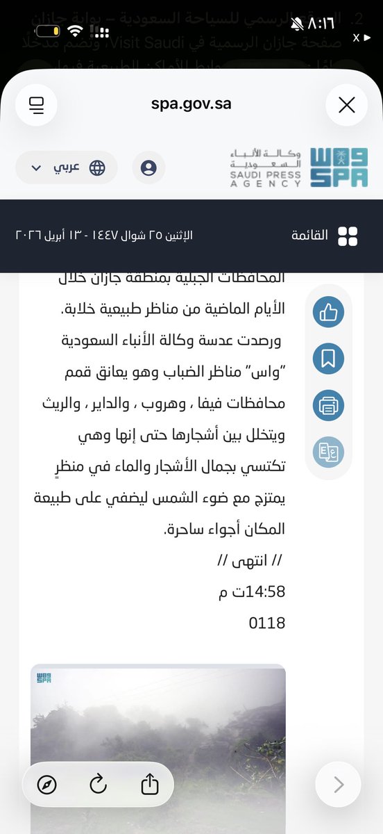 Sara tweet media