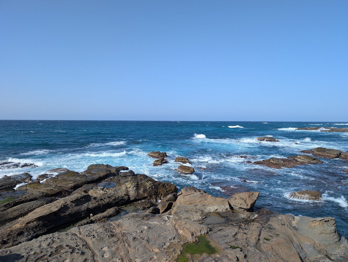 うさぎになり申した(cv:市ノ瀬加那) LiSAっ子 tweet media