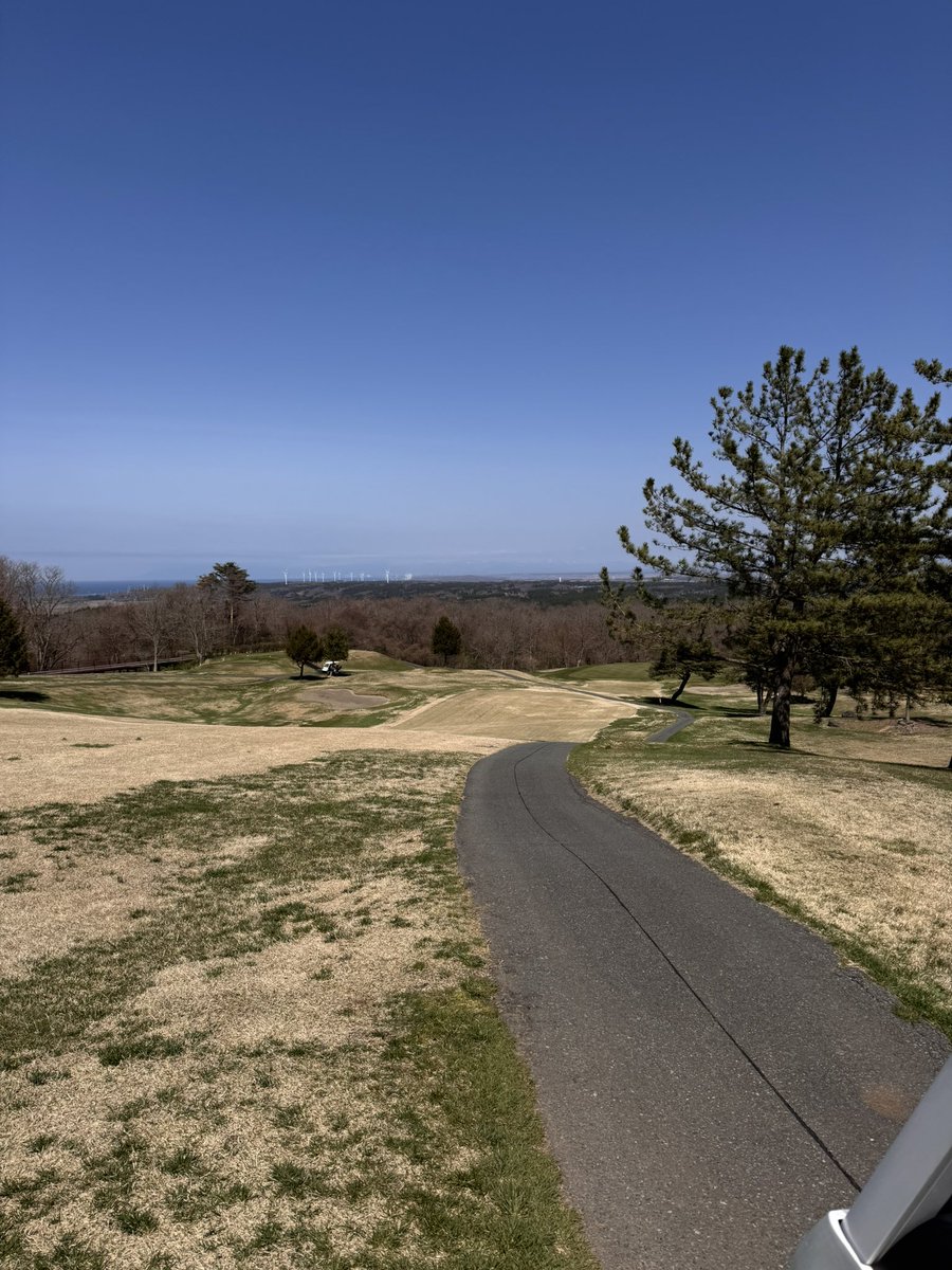 今日は創立記念日でした。