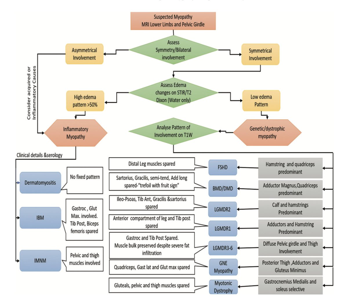 Annals of Indian Academy of Neurology tweet media