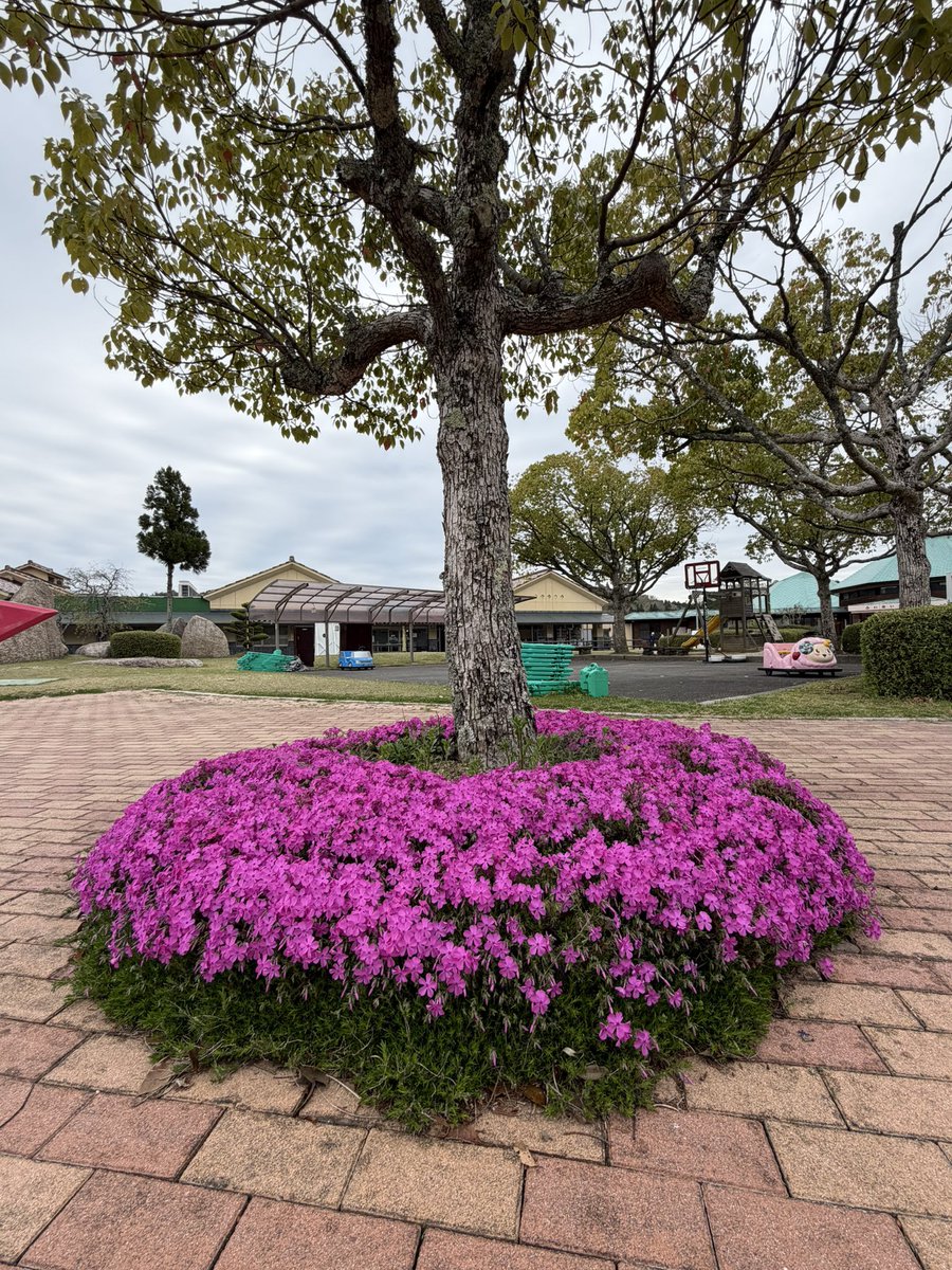 日常の中のfantasy 【所属:Team Mr.Children】 tweet media
