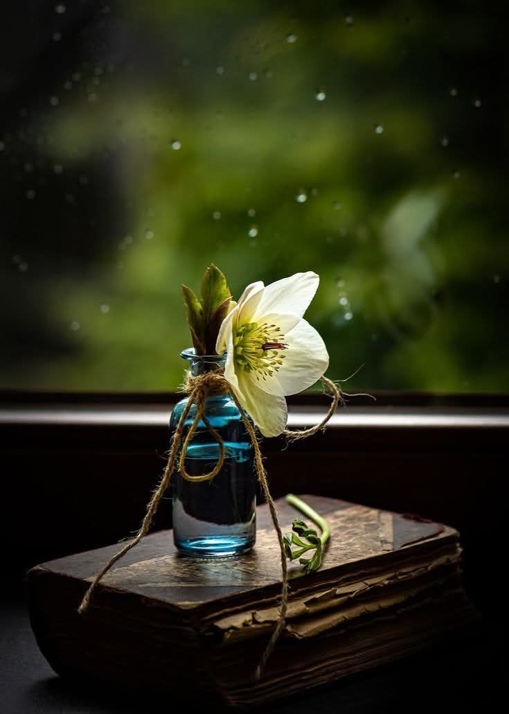 Yeni Haftadan Günaydın..

  🥀🍂🍁🌺🦋🍮