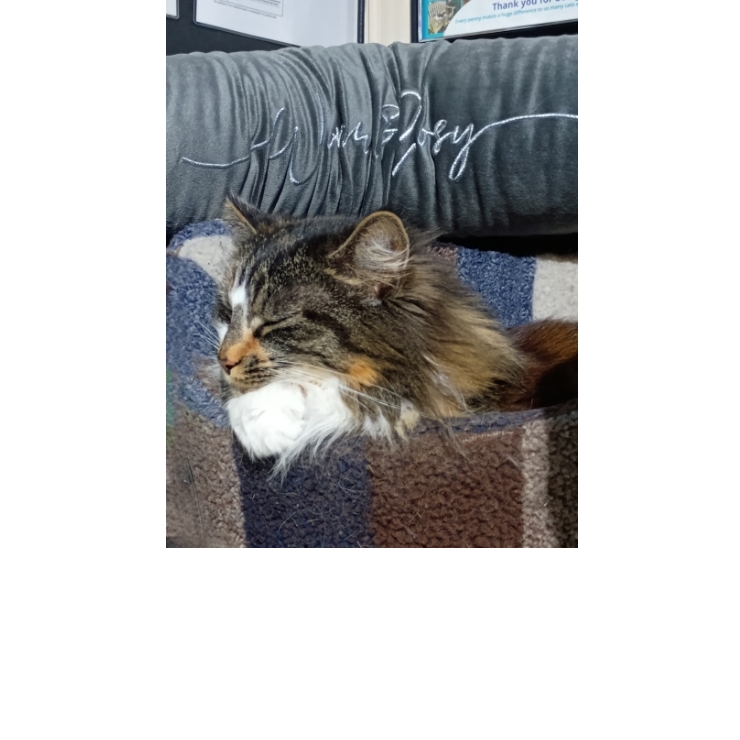 Solid Gold Sounds tweet media