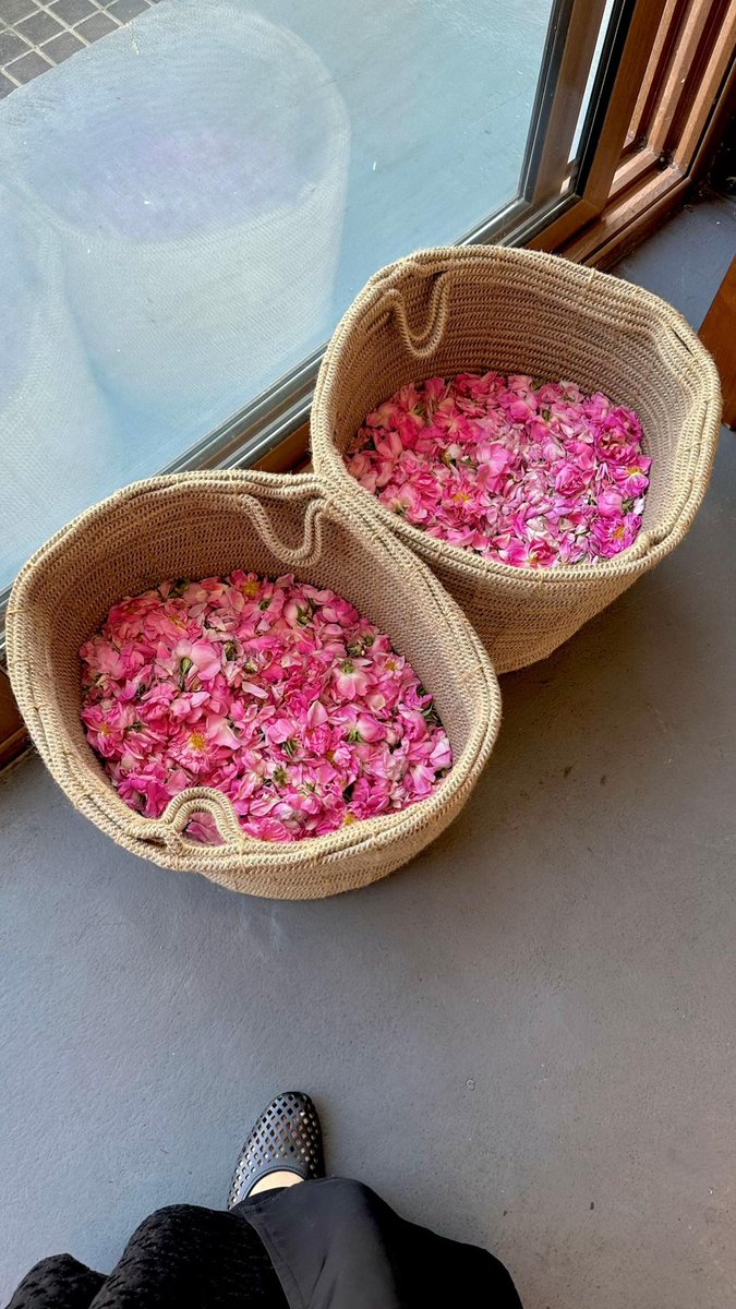 ولـــــہ tweet media