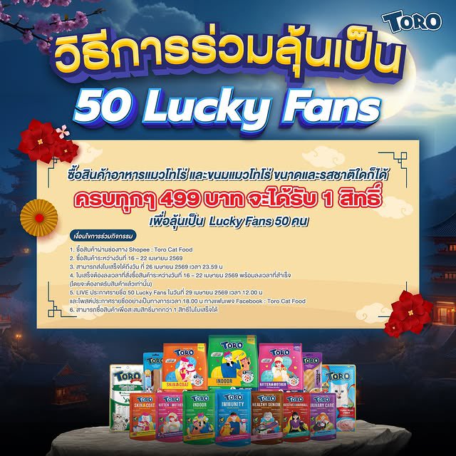 BELONG with TUI tweet media