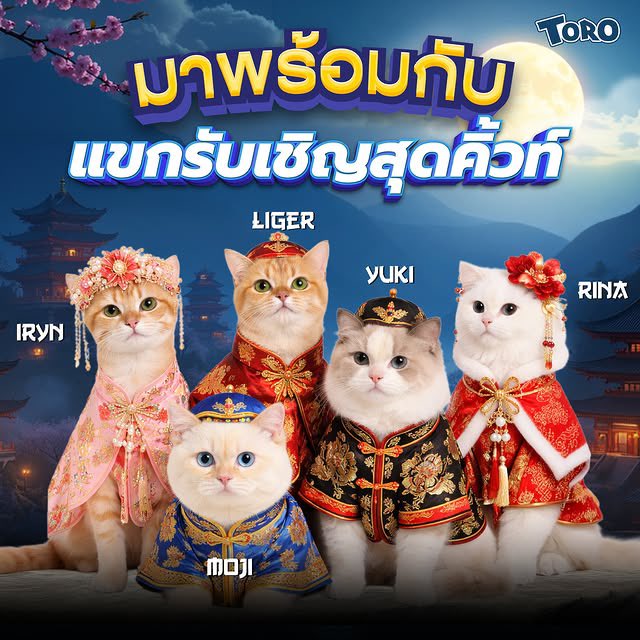 BELONG with TUI tweet media