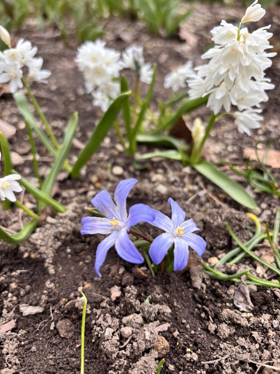 美夜月 tweet media