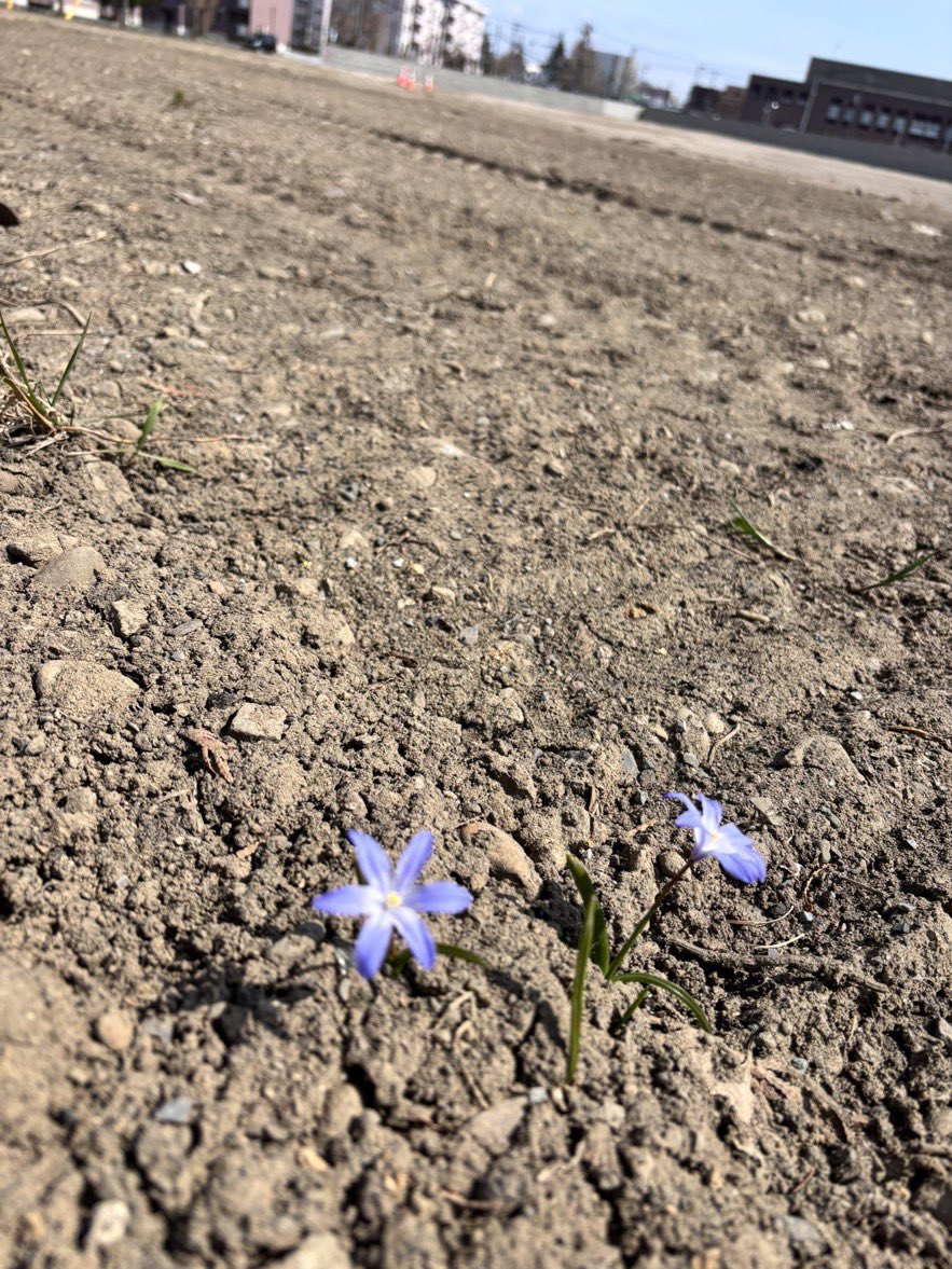 美夜月 tweet media