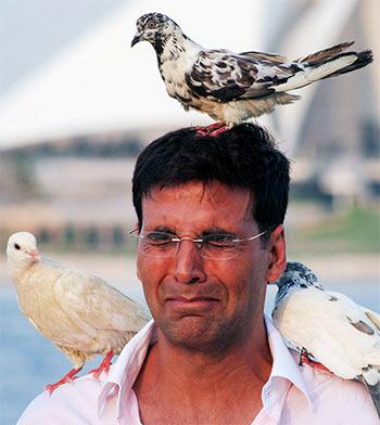 KING - SRK ⚔️ tweet media