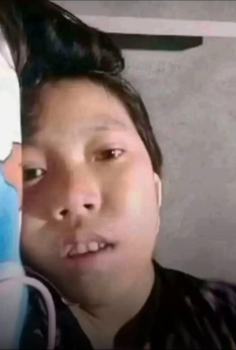 Baby Lion tweet media