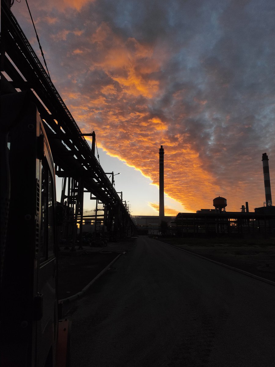 CherryPan tweet media