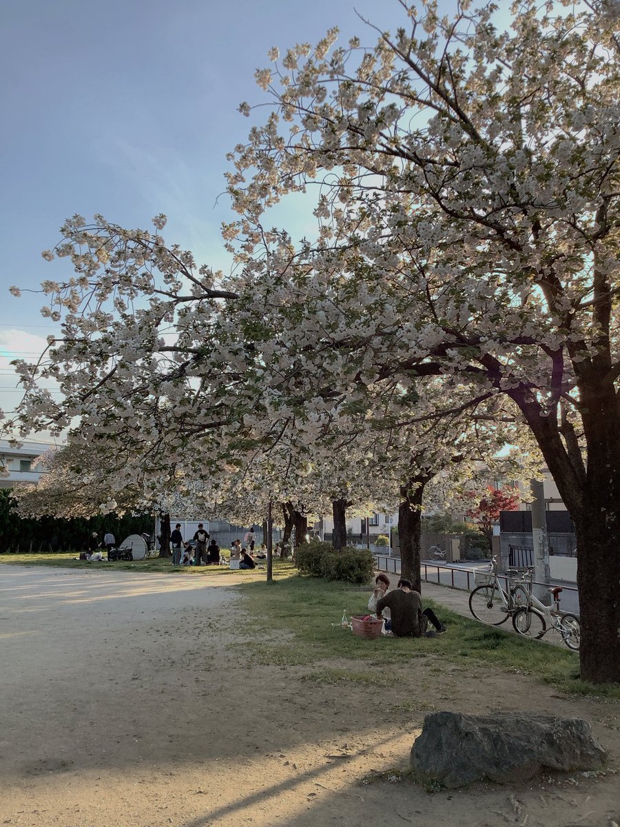 L’euphorique ルウフォリック tweet media