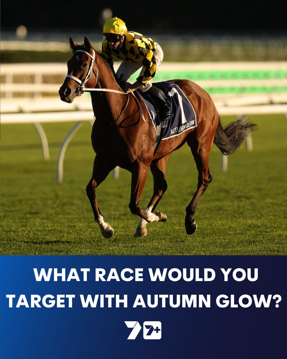 7HorseRacing 🐎 tweet media