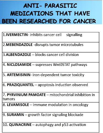 Ivermectinkart's tweet image. 🚨 Anti-Parasitic Human Medications Researched for Potential Roles in Cancer Treatment

1️⃣ Ivermectin
Ivermectin is an anti-parasitic medication that works by increasing chloride ion permeability in parasite cell membranes, leading to paralysis and death of the parasite. In