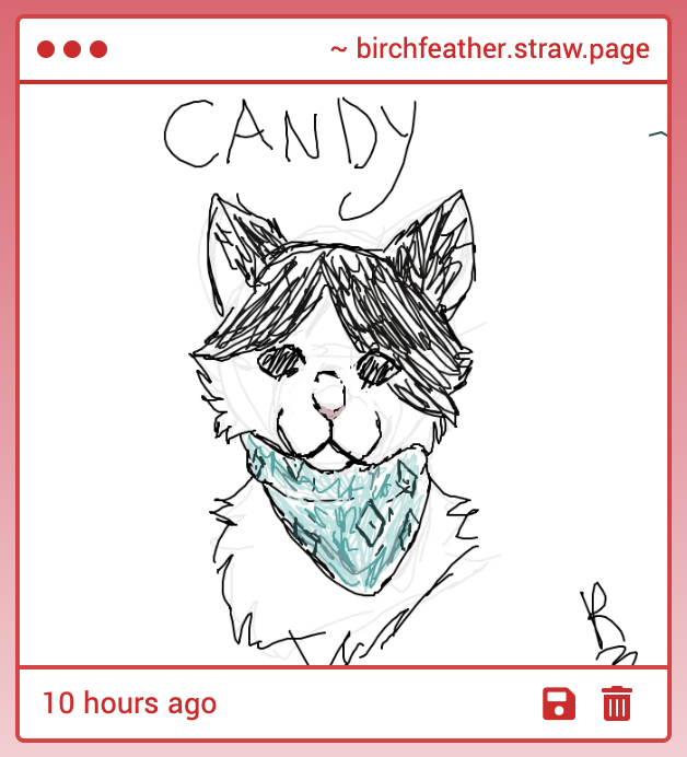 🫧 tabi ! tweet media