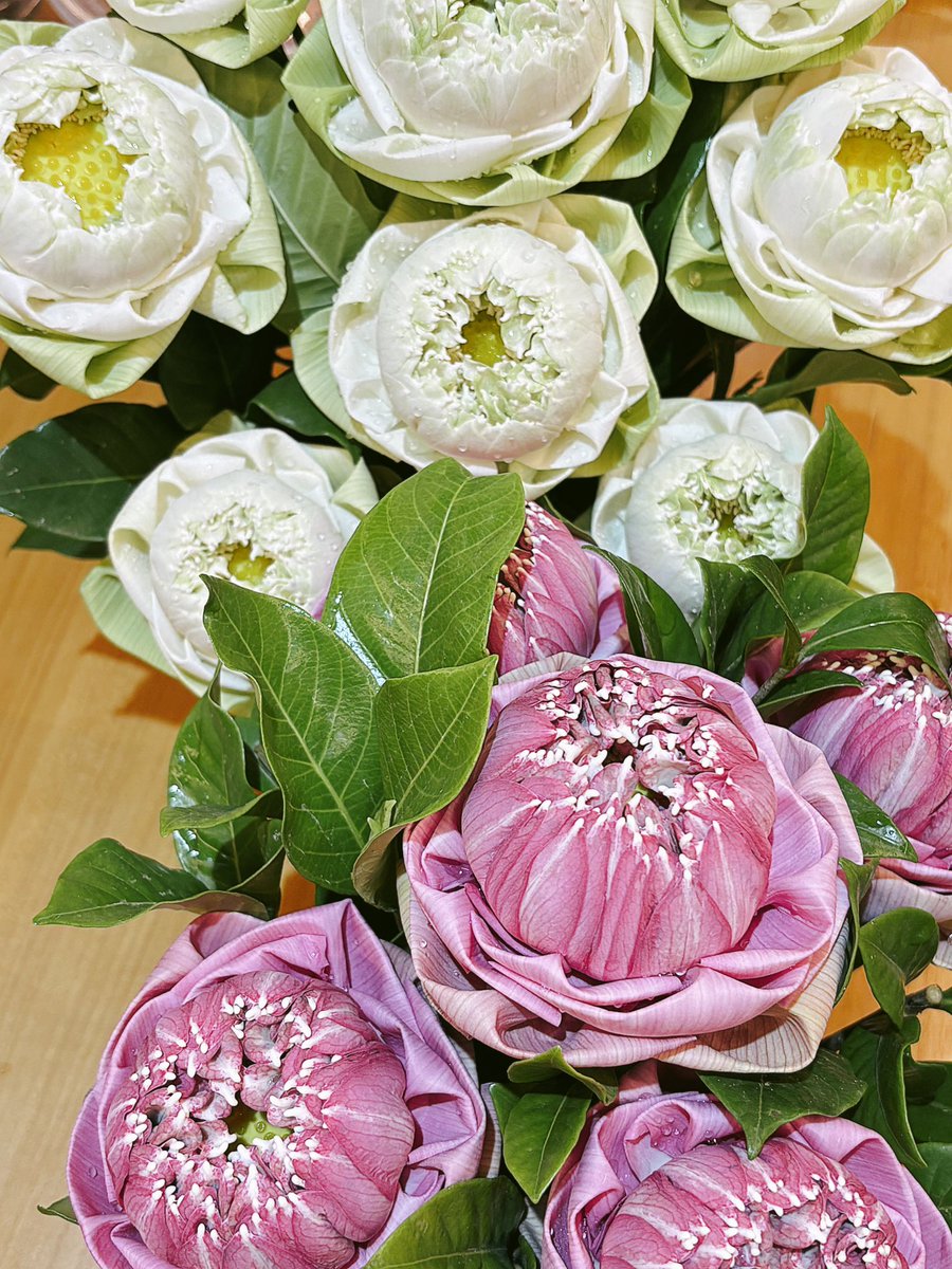 ลูกคนจีน tweet media