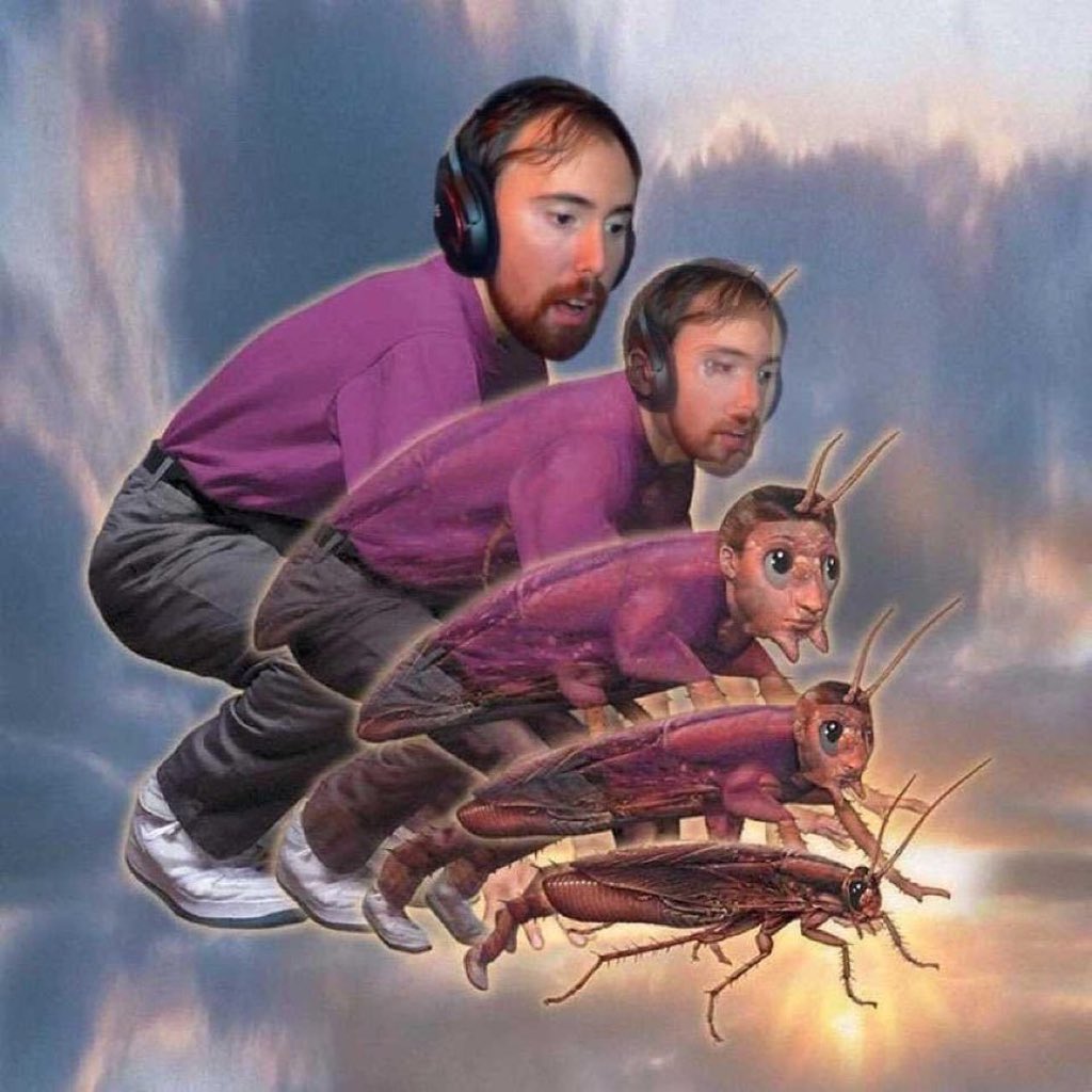 Rosa Parks tweet media