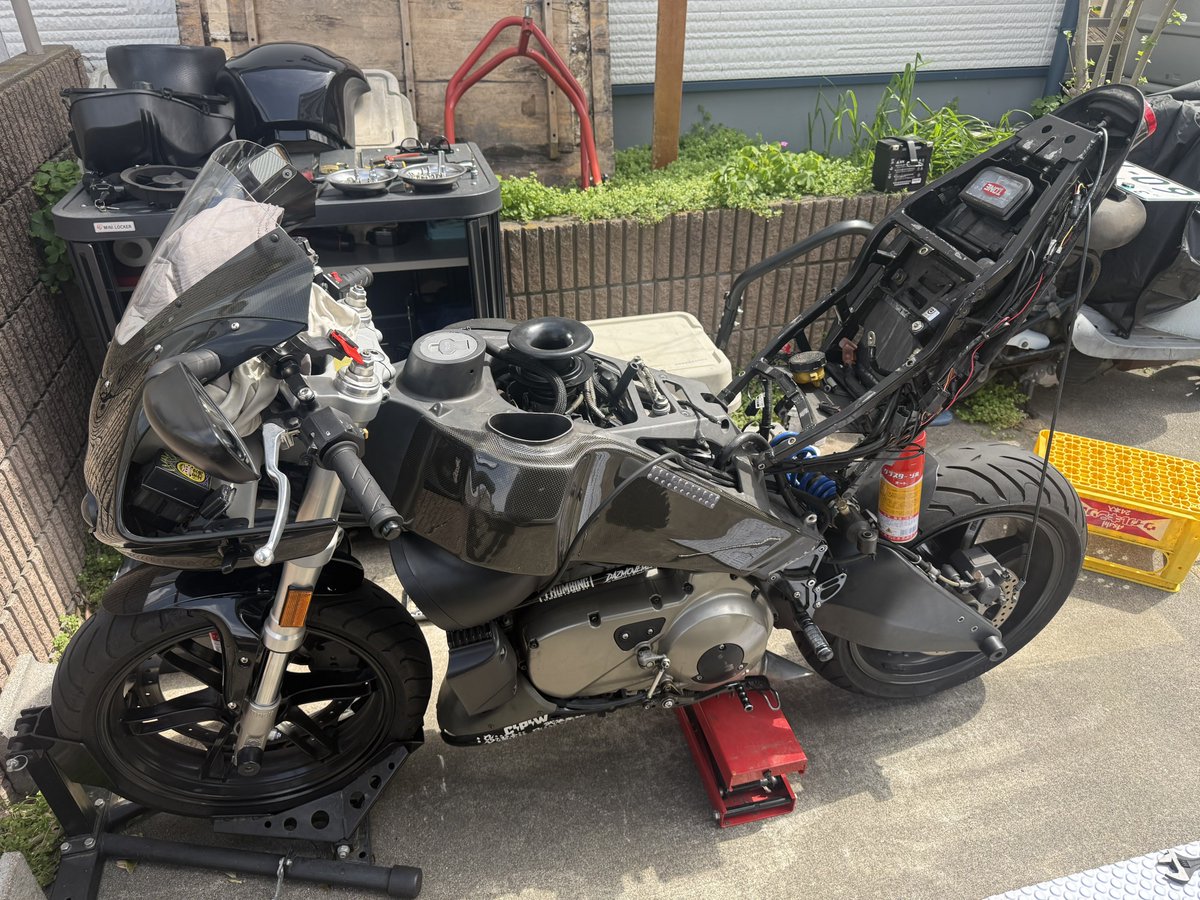 炒ちゃ。 tweet media