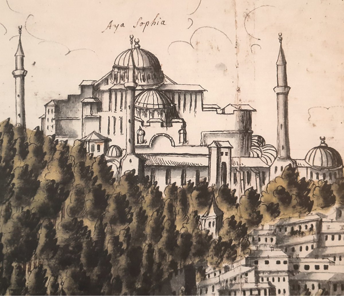 Dr. Murat Sav tweet media