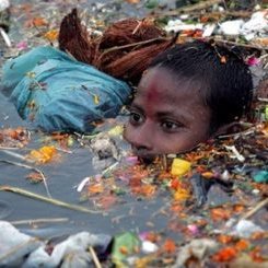 MD Umair Khan tweet media