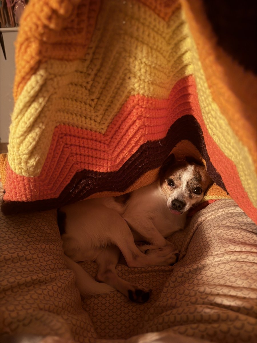 Patrick Donovan tweet media