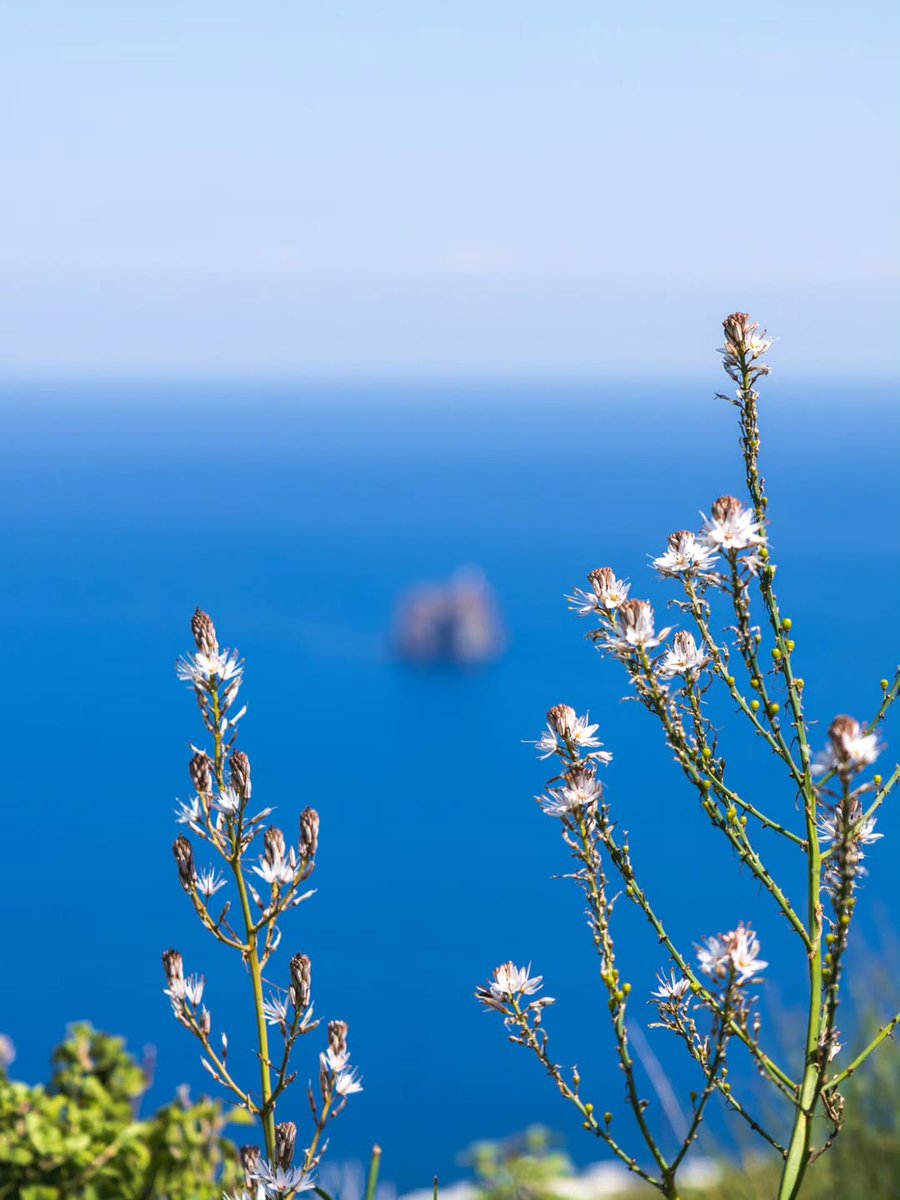 Visit Sicily tweet media