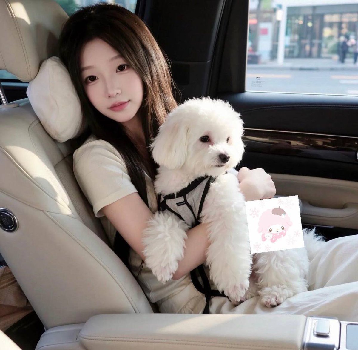 慕希-Mei俱乐部 tweet media