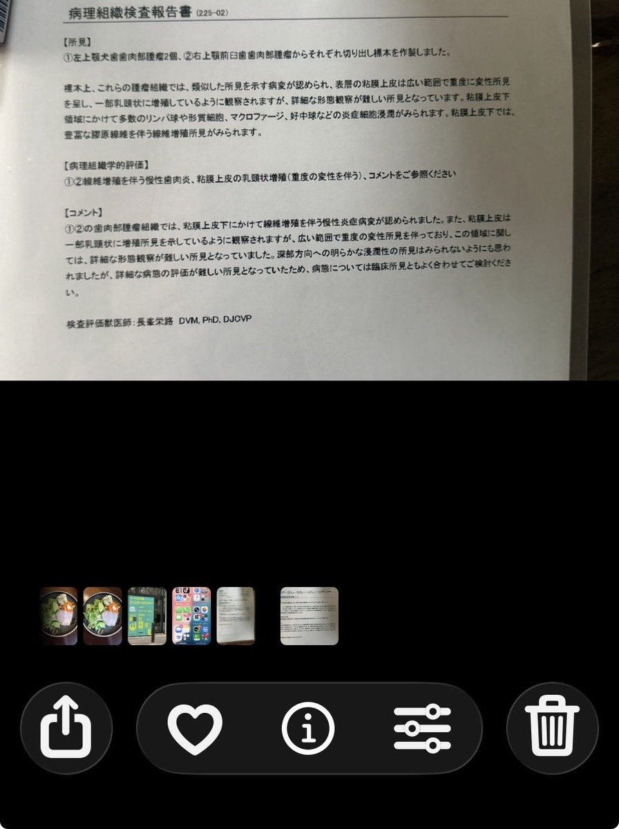 🍏Sido 🌾 tweet media