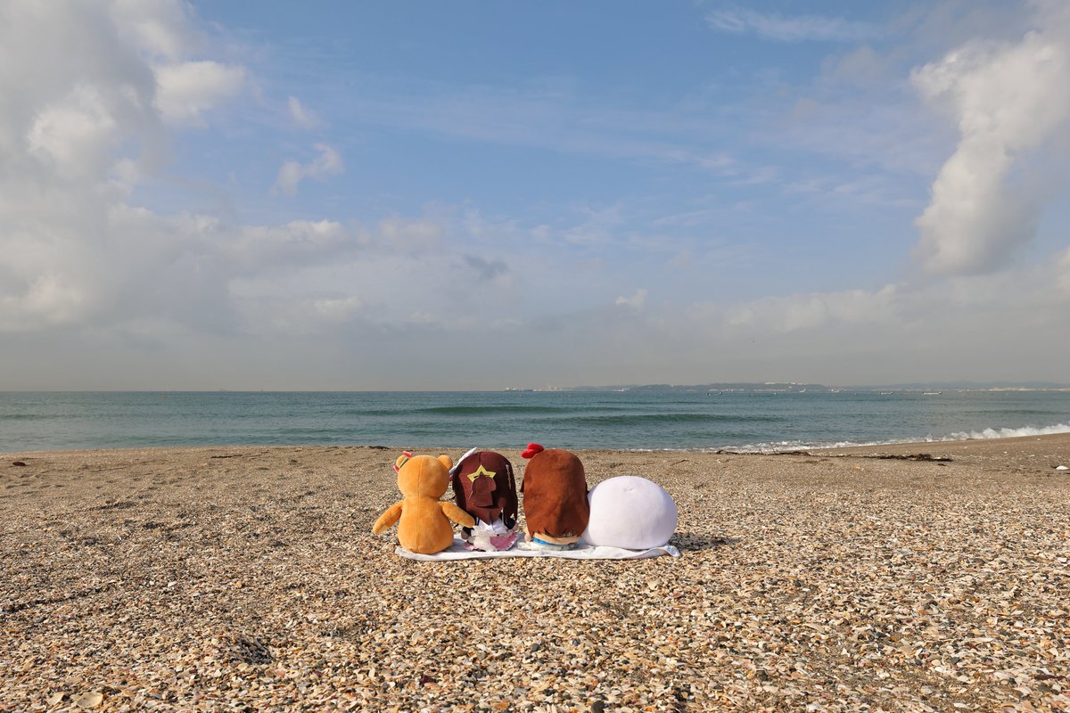 ぬいの執事バーゴン🐻💿⚒️💎 tweet media