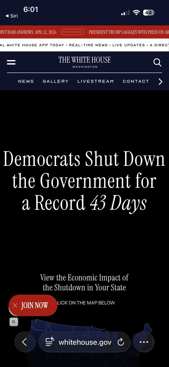 “CONSTITUTION” tweet media