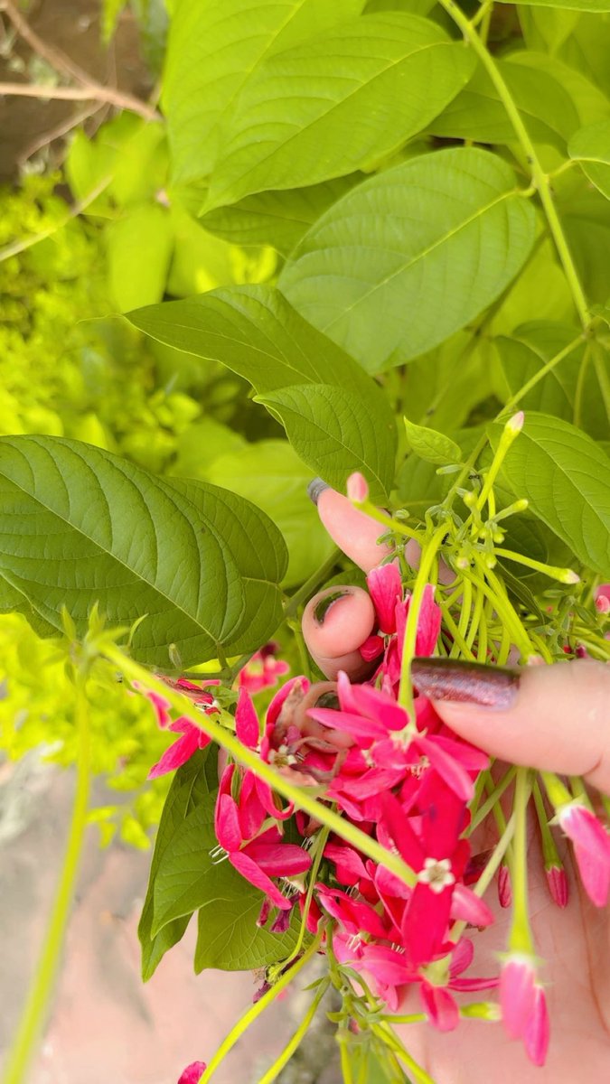 Priyank61019906's tweet image. Respecting everyone should be your habit…..not a compulsion…❣️

#Myself